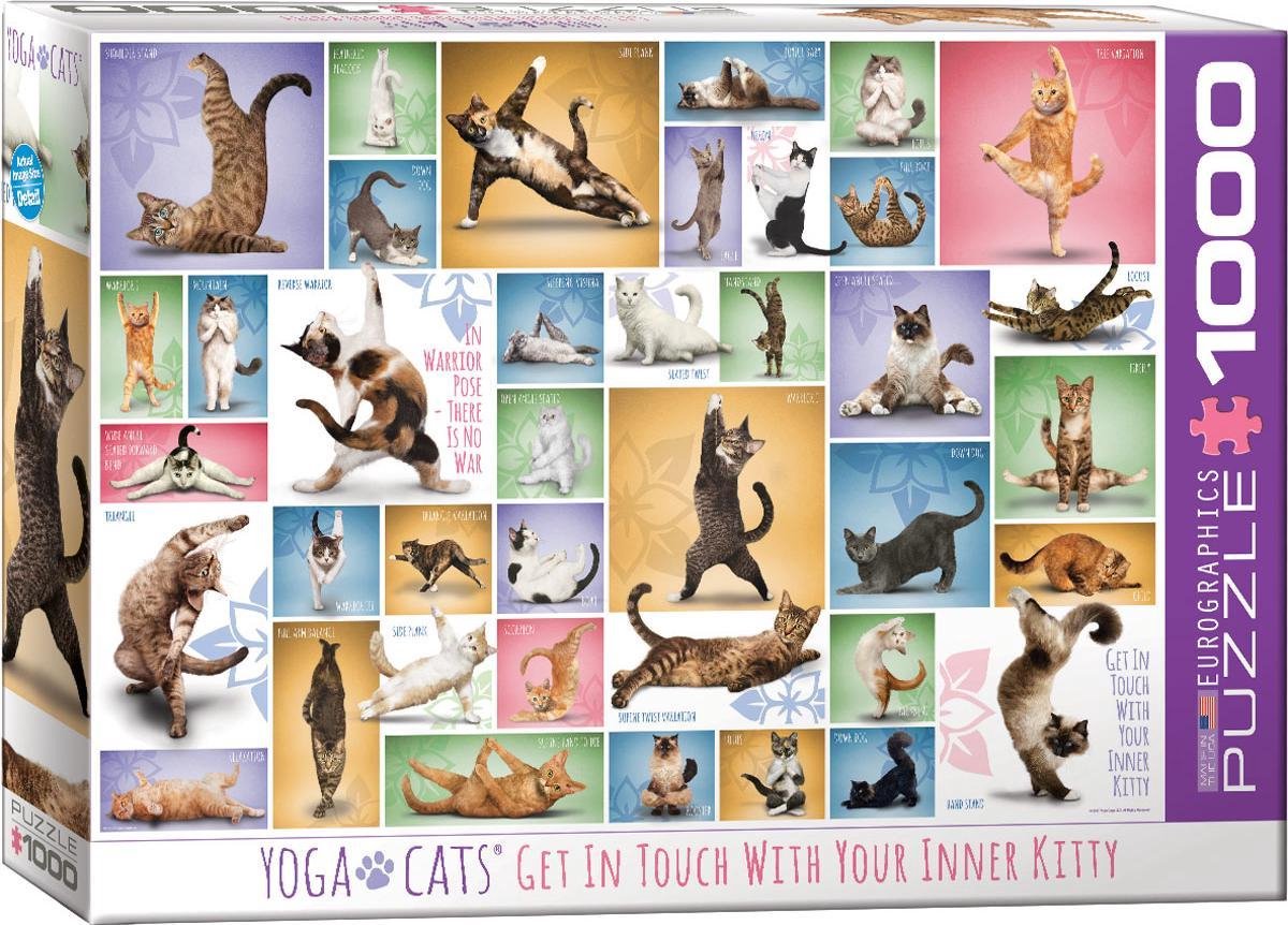 verslag doen van Nu al goedkoop Eurographics puzzel Yoga Cats - 1000 stukjes | bol.com