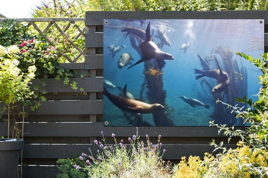 Affiche jardin - Toile jardin - Posters de jardin - Varech - Forêt - Lion de mer - 120x80 cm - Jardin