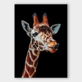 Poster Giraffe - Dibond - Meerdere Afmetingen & Prijzen | Wanddecoratie - Interieur - Art - Wonen - Schilderij - Kunst
