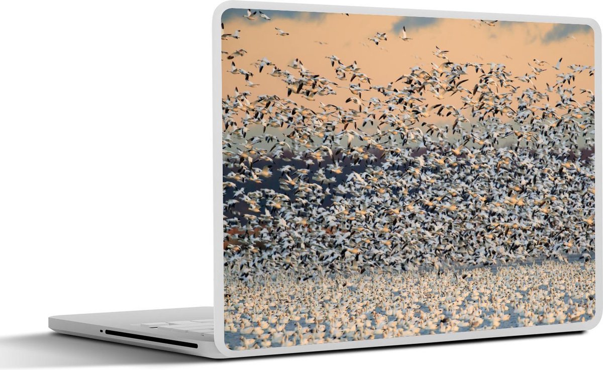 Afbeelding van product SleevesAndCases  Laptop sticker - 11.6 inch - Gans - Dieren - Water