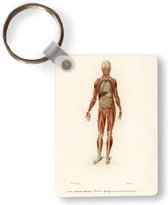 Sleutelhanger - Anatomie - Lichaam - Mens - Uitdeelcadeautjes - Plastic