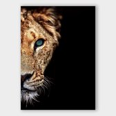 Poster Blue Eyes Lioness - Dibond - Meerdere Afmetingen & Prijzen | Wanddecoratie - Interieur - Art - Wonen - Schilderij - Kunst