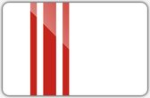 Vlag gemeente Oisterwijk - 70 x 100 cm - Polyester