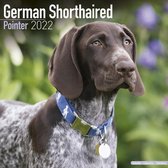 German Shorthaired Pointers International - Deutsch Kurzhaar