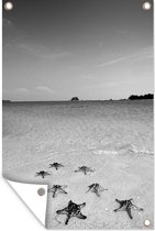 Muurdecoratie Zeven zeesterren liggen op een rij aan het tropische strand - zwart wit - 120x180 cm - Tuinposter - Tuindoek - Buitenposter