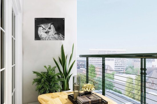 Décoration de Jardin Cette chouette brune fait un clin d'œil à la caméra - noir et blanc - 40x30 cm