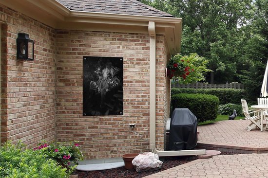 Posters de jardin Tigre et papillons dans la jungle - noir et blanc - 60x90 cm - Toile jardin