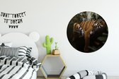 Papier peint cercle - Un tigre paresseux dans un arbre dans la jungle - 100x100 cm XXL