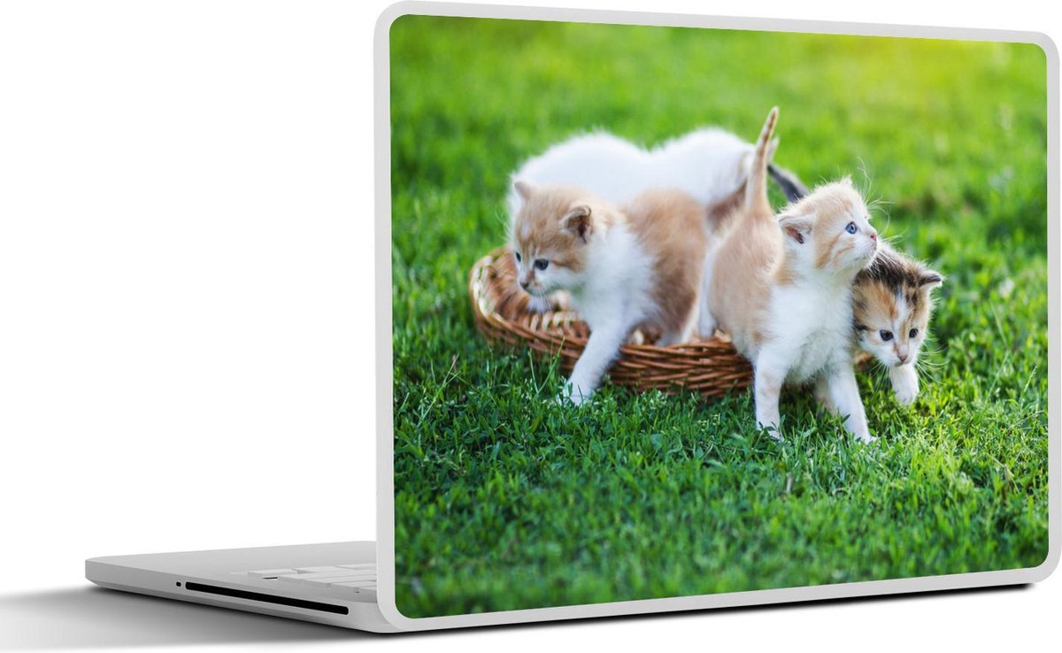 Laptop sticker - 10.1 inch - Kittens - Kat - Mand - Meisjes - Kinderen - Jongens - Kids - 25x18cm - Laptopstickers - Laptop skin - Cover