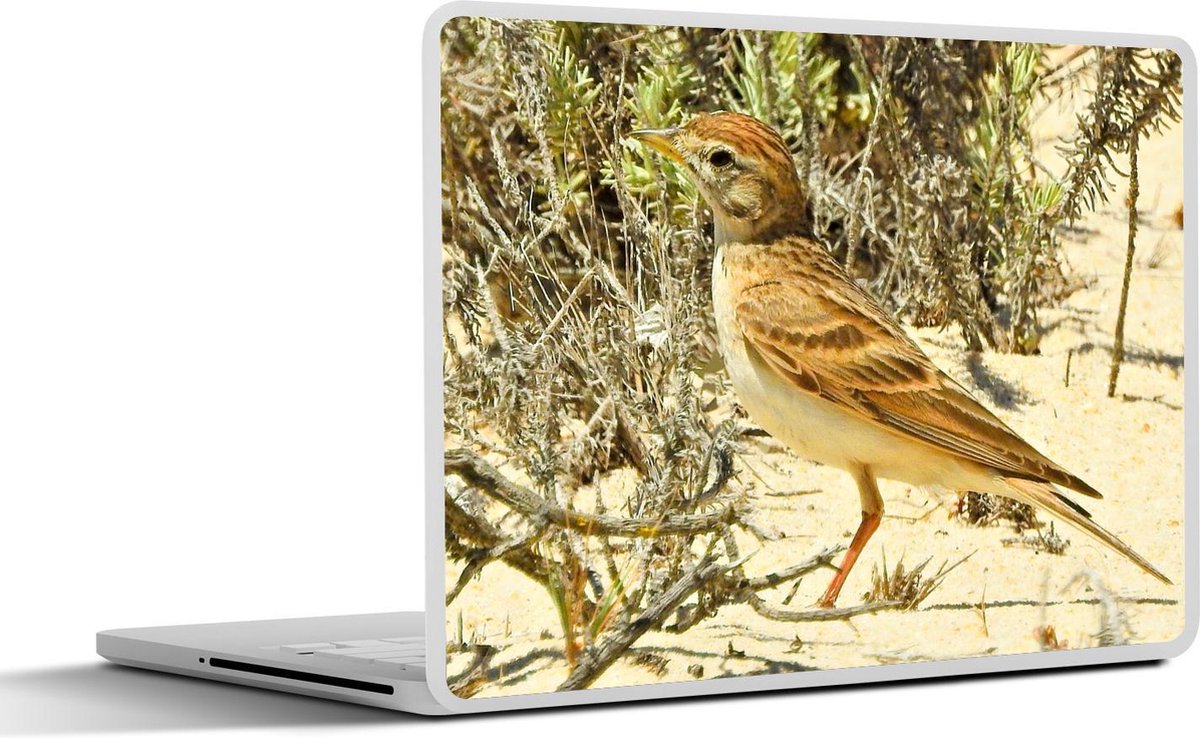 Afbeelding van product SleevesAndCases  Laptop sticker - 11.6 inch - Een kortteenleeuwerik in een zanderige omgeving