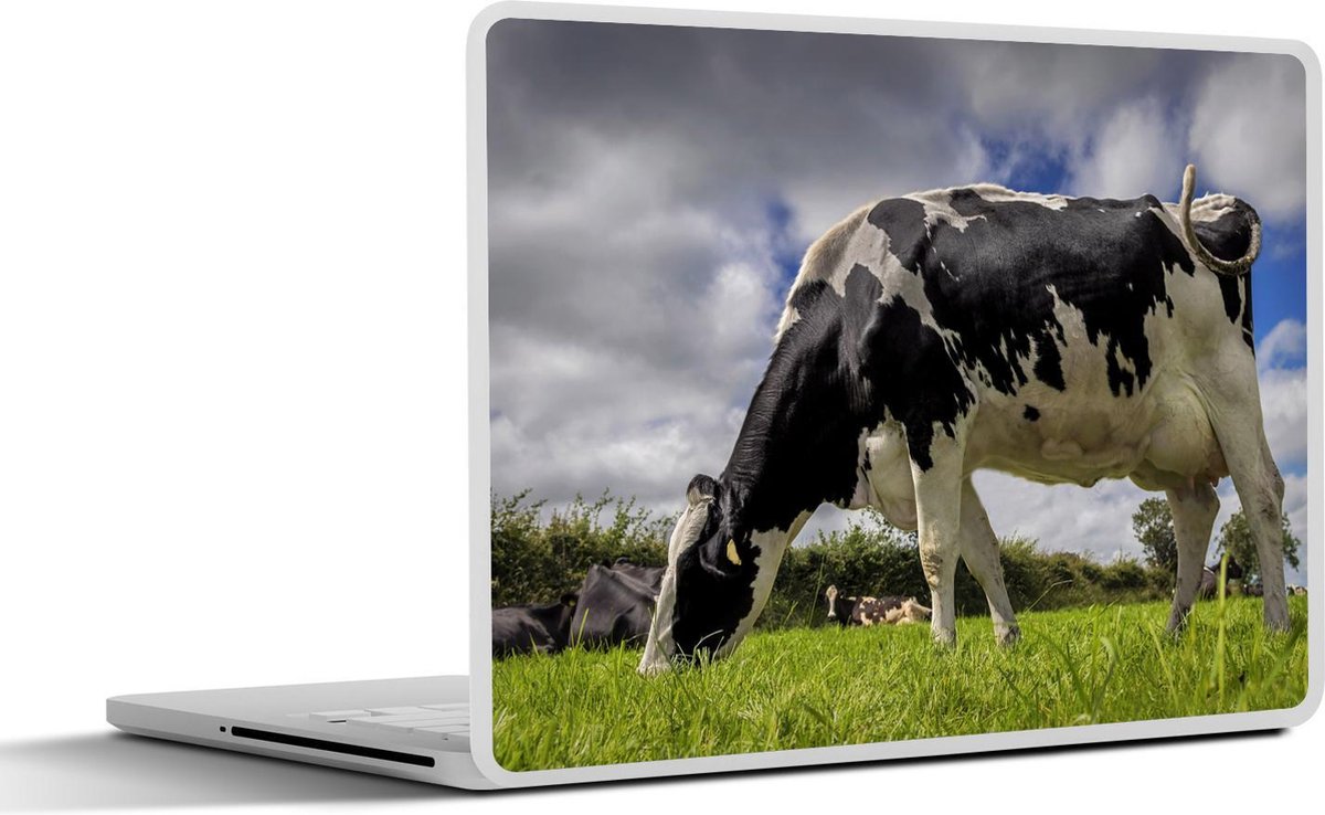 Laptop sticker - 14 inch - Koe - Gras - Staart - Dieren - 32x5x23x5cm - Laptopstickers - Laptop skin - Cover