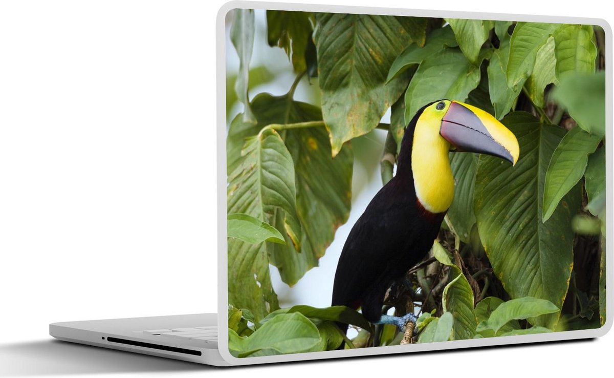Afbeelding van product SleevesAndCases  Laptop sticker - 13.3 inch - Kleurrijke swainsons toekan in het regenwoud