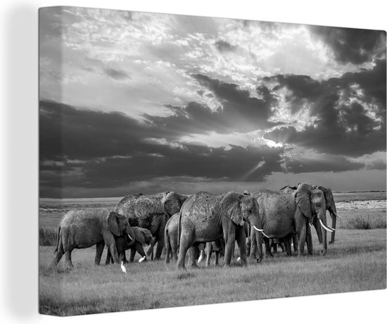 Canvas Schilderij Kudde olifanten bij een meer - zwart wit - Wanddecoratie
