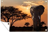 Muurdecoratie Olifant - Boom - Afrika - 180x120 cm - Tuinposter - Tuindoek - Buitenposter