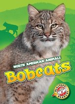 North American Animals - Bobcats