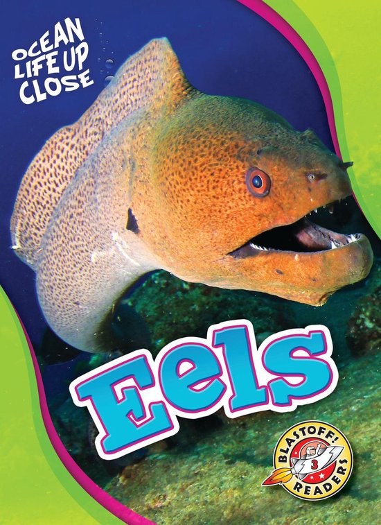 Ocean Life Up Close - Eels - cover