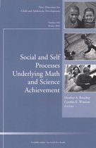 Social and Self Processes Underlying Math and Science Achievement