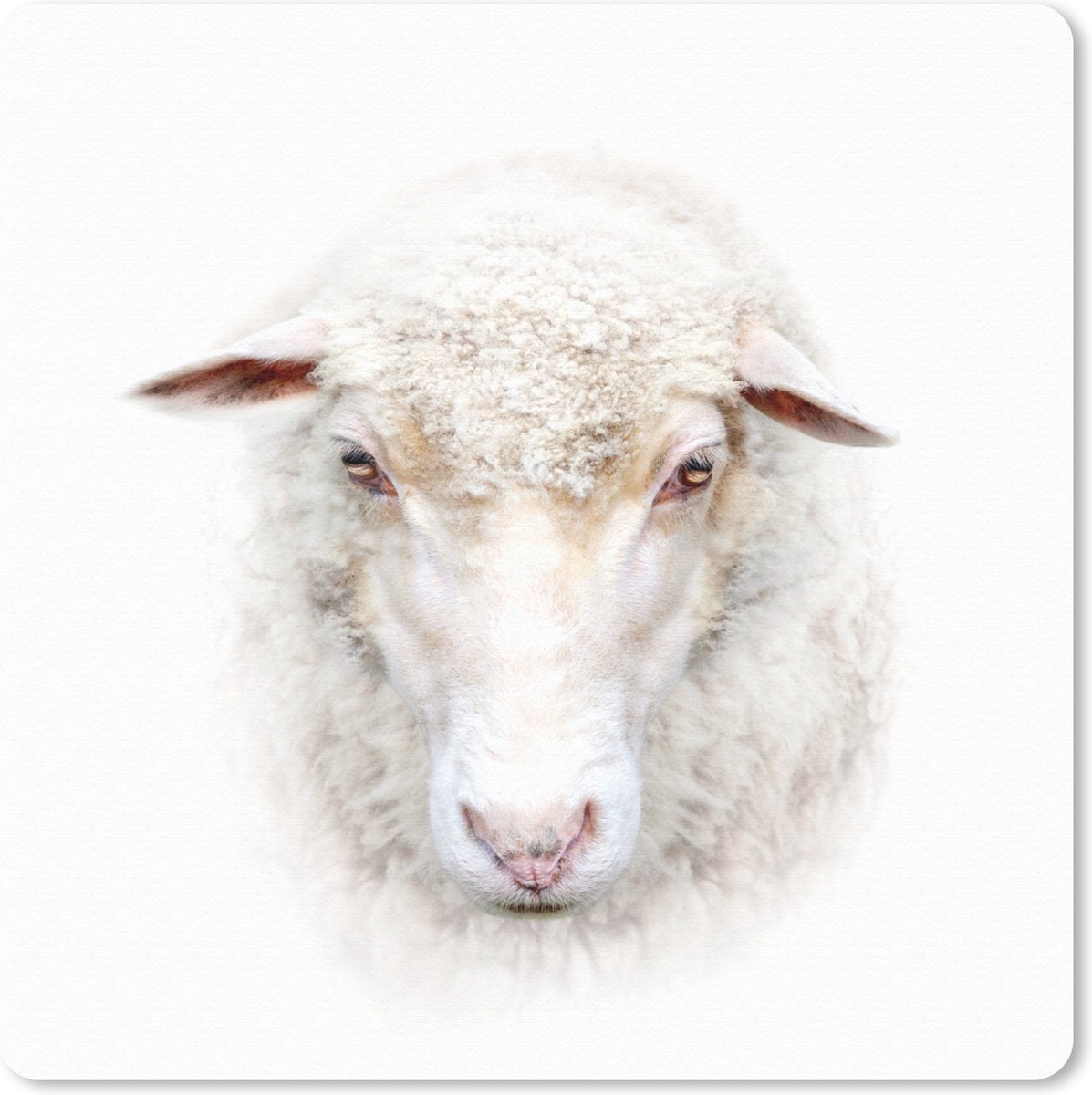 Muismat 20x20 cm - Mousepad Schaap - Portret - Wol - Muismatten