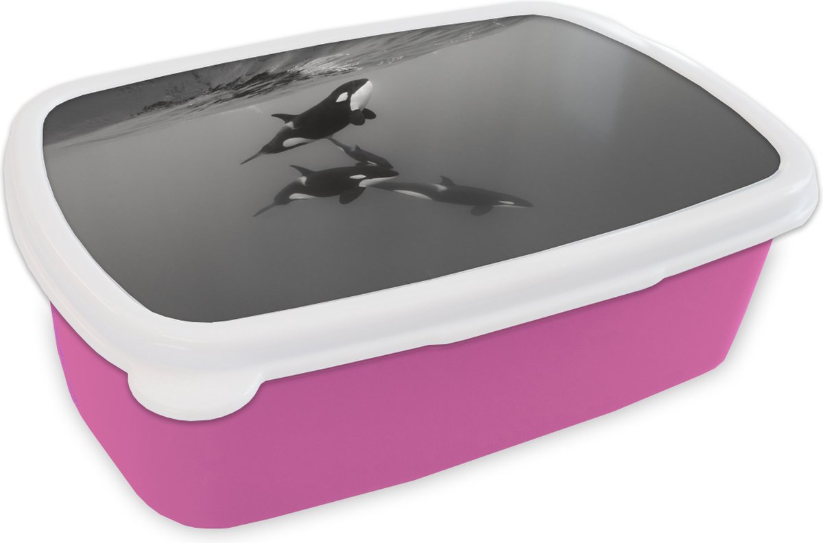 Broodtrommel Roze - Lunchbox - Brooddoos - Orka - Water - Zwart - Wit - 18x12x6 cm - Kinderen - Meisje