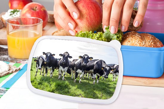 Lunch box Blauw - Lunch box - Boîte à pain - Vaches - Léger - Printemps - 18x12x6 cm - Enfants - Garçon