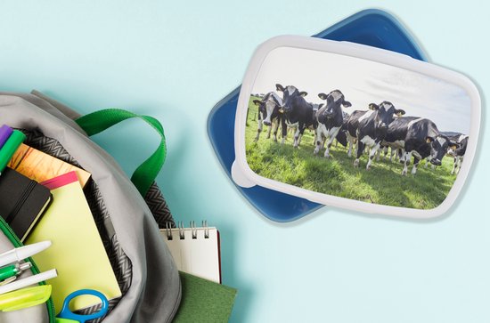 Lunch box Blauw - Lunch box - Boîte à pain - Vaches - Léger - Printemps - 18x12x6 cm - Enfants - Garçon