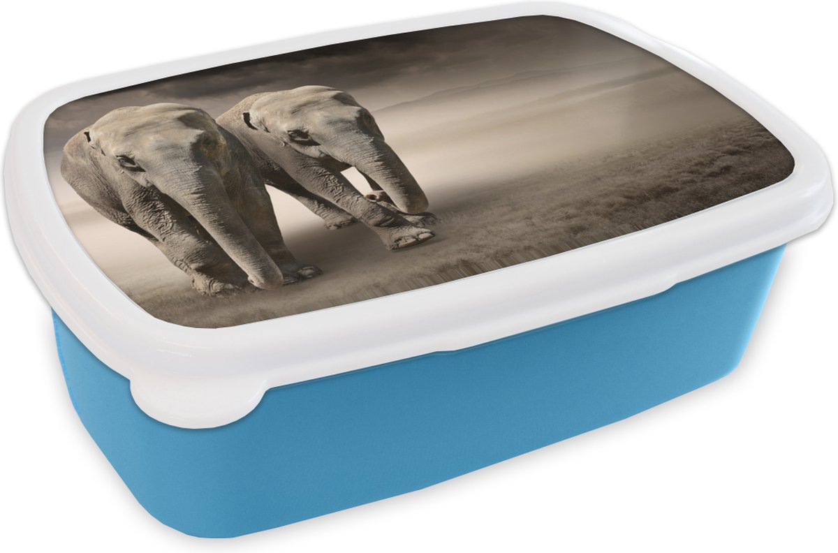 Broodtrommel Blauw - Lunchbox - Brooddoos - Olifant - Berg - Mist - 18x12x6 cm - Kinderen - Jongen