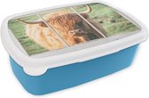 Broodtrommel Blauw - Lunchbox - Brooddoos - Schotse hooglander - Natuur - Doorkijk - 18x12x6 cm - Kinderen - Jongen
