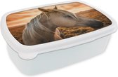 Broodtrommel Wit - Lunchbox - Brooddoos - Paard - Zon - Oranje - 18x12x6 cm - Volwassenen