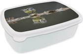 Broodtrommel Wit - Lunchbox - Brooddoos - Vogel - Water - Reflectie - 18x12x6 cm - Volwassenen