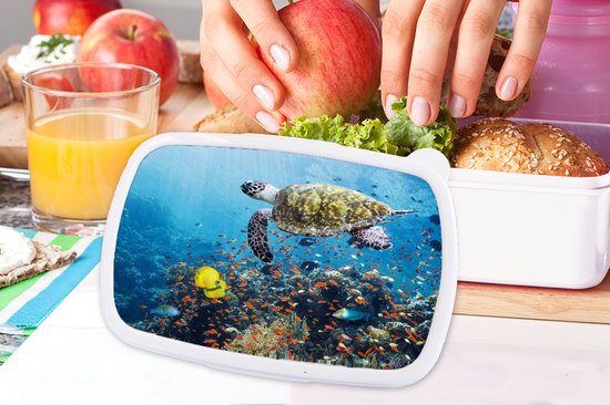 Boîte à pain Wit - Lunch box - Lunch box - Tortue au récif de corail - 18x12x6 cm - Adultes