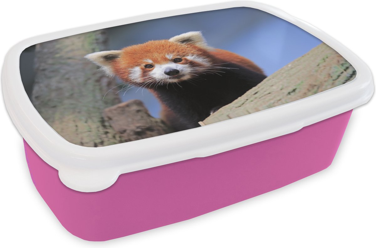 Broodtrommel Roze - Lunchbox - Brooddoos - Rode Panda - Oranje - Boom - 18x12x6 cm - Kinderen - Meisje