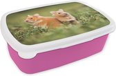 Broodtrommel Roze - Lunchbox - Brooddoos - Gouden hamsters - 18x12x6 cm - Kinderen - Meisje