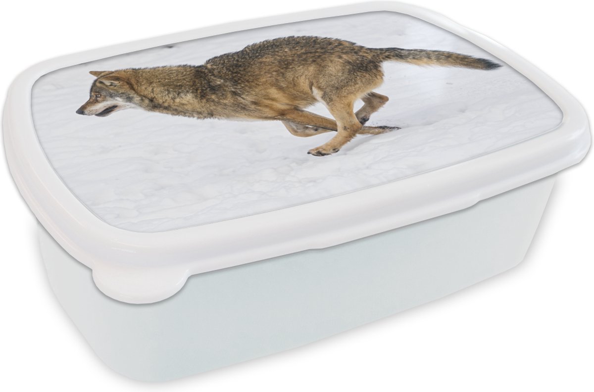 Broodtrommel Wit - Lunchbox - Brooddoos - Wolf - Sneeuw - Koud - 18x12x6 cm - Volwassenen