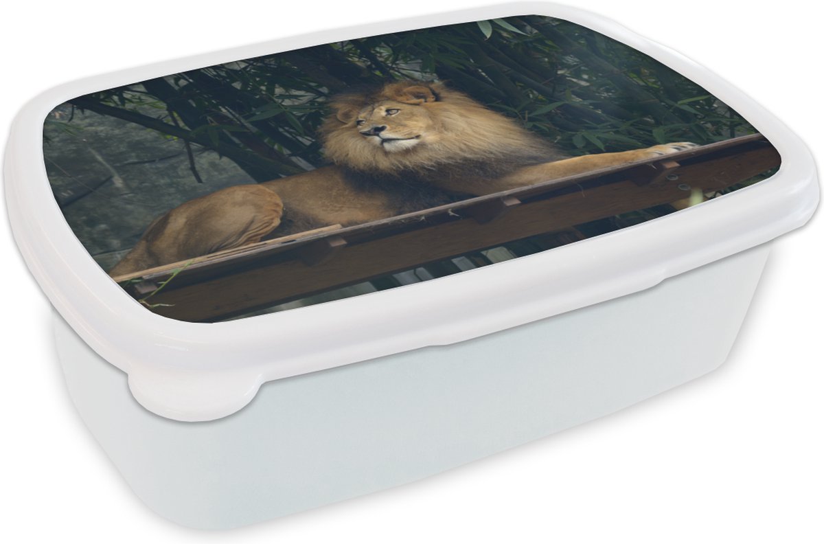 Broodtrommel Wit - Lunchbox - Brooddoos - Leeuw - Bos - Wild - 18x12x6 cm - Volwassenen