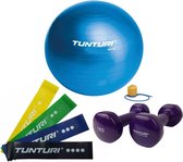 Tunturi - Fitness Set - Vinyl Dumbbell 2 x 1 kg - Gymball Blauw 90 cm - Weerstandsbanden 4 stuks