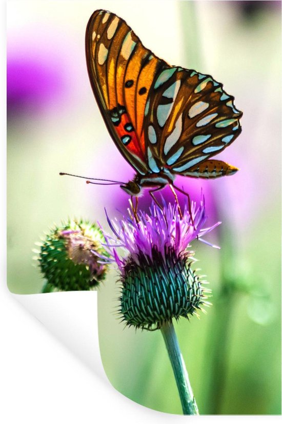 Stickers Fleur Papillon