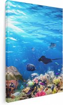 Artaza - Peinture Sur Toile - Pêche Avec Récif De Corail Water L'eau - 60x80 - Photo Sur Toile - Impression Sur Toile