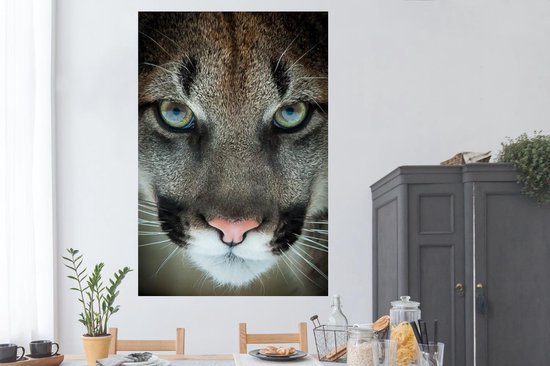 Poster Cougar gros plan 120x180 cm - Tirage photo sur Poster (décoration murale salon / chambre) / Poster Animaux XXL / Groot format!