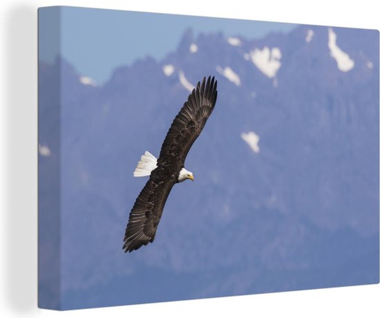 Canvas Schilderij Amerikaanse zee arend - Adelaar - Vliegende - Vleugels - Vogels - 90x60 cm - Wanddecoratie
