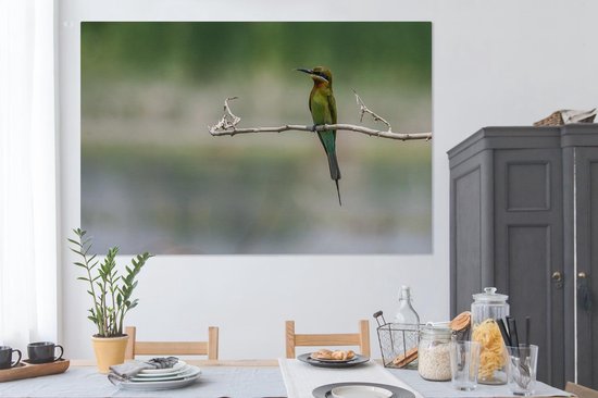 Tableau sur toile Le guêpier nain est assis sur une branche - 150x100 cm - Décoration murale