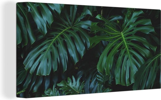 Canvas Schilderij Jungle - Bladeren - Design - 80x40 cm - Wanddecoratie