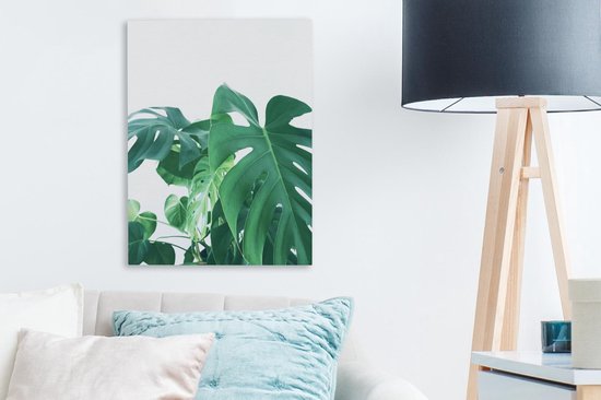 Peintures sur toile - Énormes feuilles botaniques de la plante trouée - 30x40 cm - Décoration murale