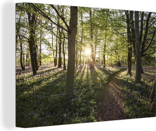 Canvas Schilderij Bos - Boom - Zon - 90x60 cm - Wanddecoratie