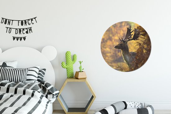 Cercle Mural - Cercle Mural Intérieur - Cerf - Bois - Automne - ⌀ 60 cm - Décoration murale - Peintures Ronds