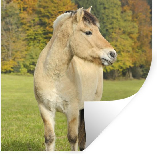 Muurstickers - Sticker Folie - Fjord paard in een herfstlandschap - 120x120 cm - Plakfolie - Muurstickers Kinderkamer - Zelfklevend Behang XXL - Zelfklevend behangpapier - Stickerfolie