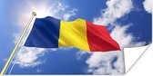 Affiche Le drapeau de la Roumanie agitant dans les airs - 150x75 cm