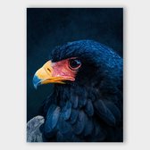 Poster Eagle ² - Plexiglas - 70x100 cm - Meerdere Afmetingen & Prijzen | Wanddecoratie - Interieur - Art - Wonen - Schilderij - Kunst