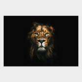 Artistic Lab Poster - Lion - 270 X 400 Cm - Multicolor