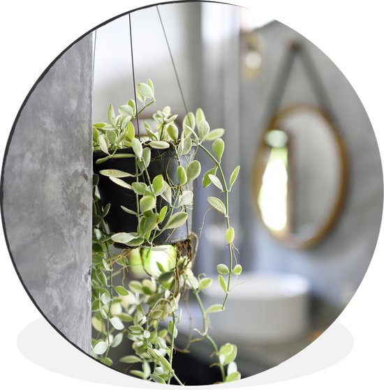 WallCircle - Wandcirkel - Muurcirkel - Kleine hangplant in de badkamer - Aluminium - Dibond - ⌀ 30 cm - Binnen en Buiten
