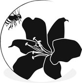 illustration noir et blanc d'une abeille avec un lys Cercle mural aluminium ⌀ 120 cm - tirage photo sur cercle mural / cercle vivant / cercle de jardin (décoration murale)